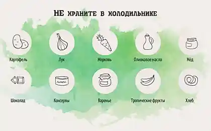 Как хранить продукты