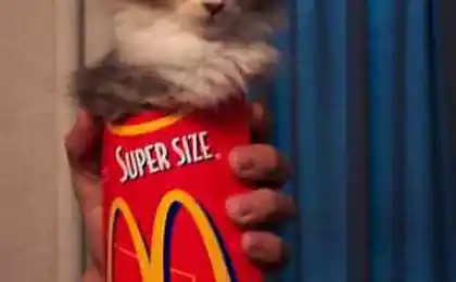 Super size