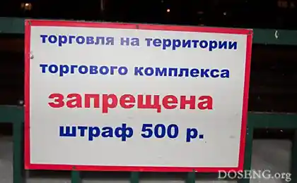 Со смыслом и без