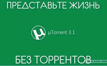 Почему торрент?