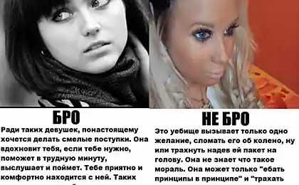 Кого бы ты выбрал?