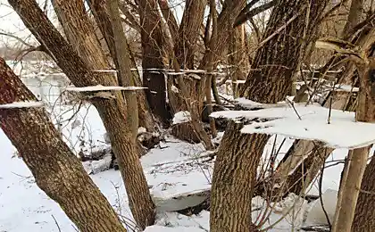 Интересный эффект