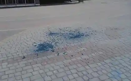 Покушение с зеленкой