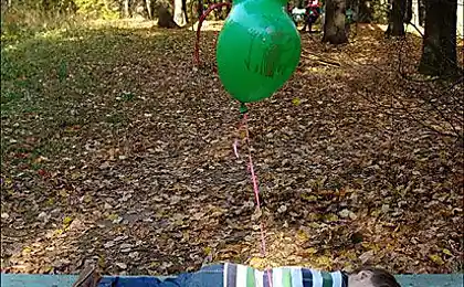 ЗИЛЕНЫЙ ЗАЯЦ
