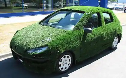 Peugeot 206, підготовленн і к к Педжот Golf Challenge Cup