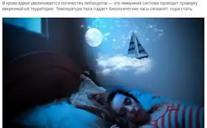 Как наш организм ведет себя во сне
