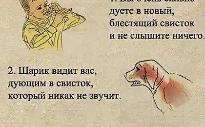 Загадка собачьего свистка