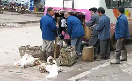 Ну а как проходить та? ))) (2 фото)