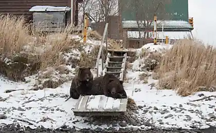 Хорошо, когда тебя ждут!