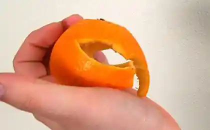 Шлем для кота.