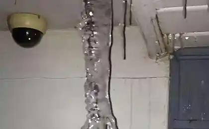 Як ви любите, що "сукер"?