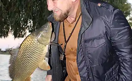 Інстаграма Ramzan Kadyrov