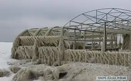 Кафе на пляже. Бердянск