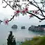 Весна. Природа Красота. 1 (много фото)