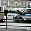 Как правильно валяться или игра в лежанку (35 фото)