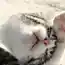 Такие милые коты