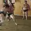 Борцы сумо приехали в японский порт, который был разрушен цунами.