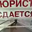 Маразмы из жизни