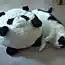 Толстый кот знает толк