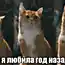 Куда глаза смотрели?