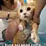 А вы любите купать котов? (9 фото)