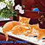 Рисованные котики (44 картинки)