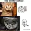 Котики vs Рожи