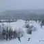 Цвет Зимы