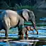 Первые работы фотоконкурса «National Geographic Traveler Photo 2013»
