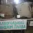 Музей патологической анатомии (10 фото)