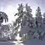 Настоящая зима (18 фото)