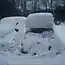 Как подработать зимой (2 фото)