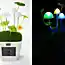 Психоделический ночник Kinoko Mushroom Lamp