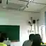 Слишком большое внимание ( фото)