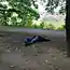 Только доброта спасет этот мир