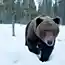 Крутые фотографии животных, сделаные практически вупор.
