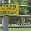 Думаю, это фото подходит для главной ))