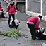 Как панды в новый дом переезжали