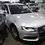 Гнездо опоссума под капотом Audi
