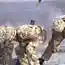 Стоп-кадры залпов