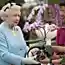 Цветочное шоу в Челси (Chelsea Flower Show)