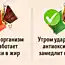В какое время дня лучше есть те или иные продукты
