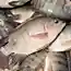 Внимание! Еда из Китая, которая содержит пластик, пестициды и канцерогены!