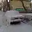 Зима в этом году выдалась долгой, а весна — коварной.