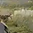 Нейронные сети научились расцвечивать черно-белые видео
