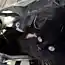 Кошка прожила две недели под капотом автомобиля