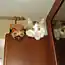 Герой котовторника