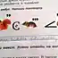 Детские перлы (20 фотографии)