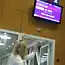 Новости в фото