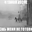 Март, уходи! (53 картинки)